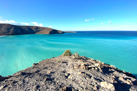 La Paz: Espiritu Santo Island Tour