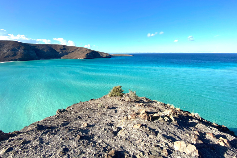 La Paz: Espiritu Santo Island Tour