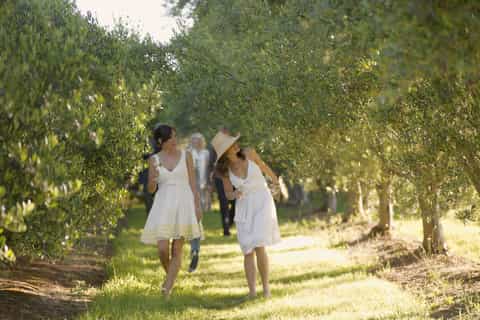 Mornington Peninsular Wine, Cheese & Chocolate Tour