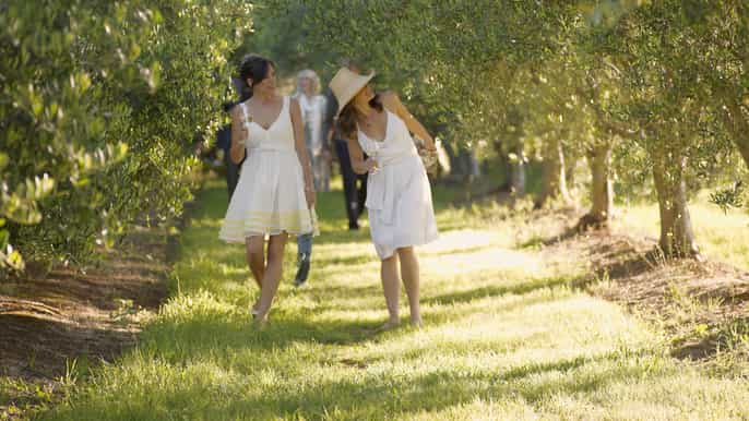 mornington peninsular wine cheese chocolate tour