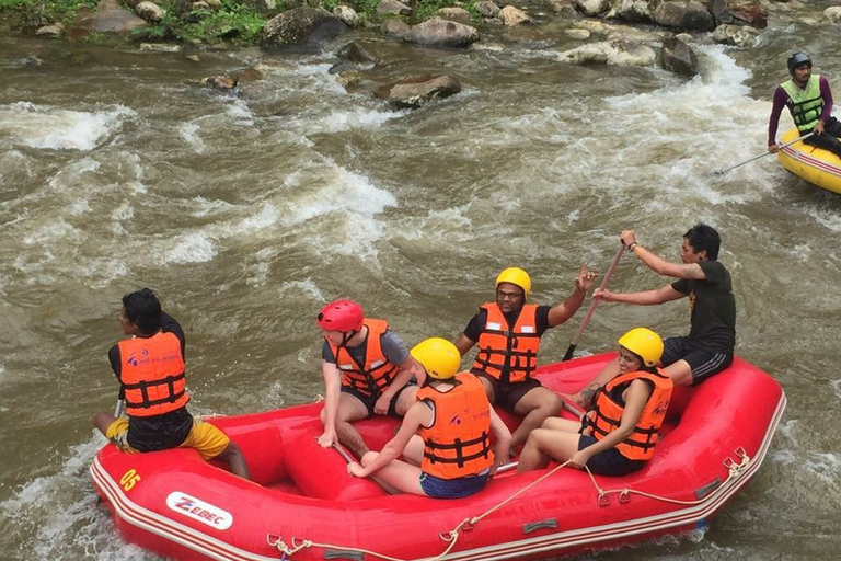 Krabi: Rafting na białej wodzie, wodospad i świątynia małpKrabi: Spływ górski, wodospad i świątynia małp