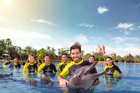 Dubái: baño con delfines en el parque acuático Atlantis