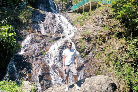 Chauffeured Ride to Silver and Love Waterfall, Lonely Tree