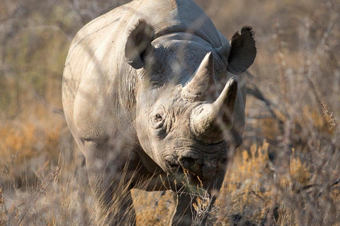 Safari de 7 días con los Cinco Grandes en el norte de TanzaniaMaravillas de la naturaleza