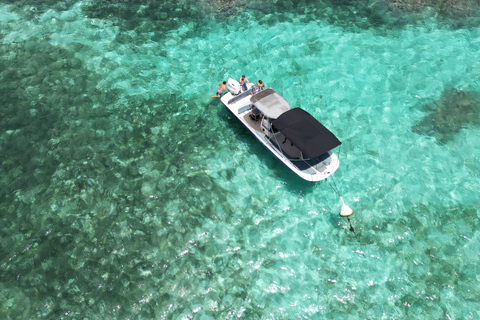 Guadeloupe: Magical half-day boat trip: mangrove, islet, snorkeling. Guadeloupe: Magical 1/2-day boat trip: mangrove, islet, snorkeling.