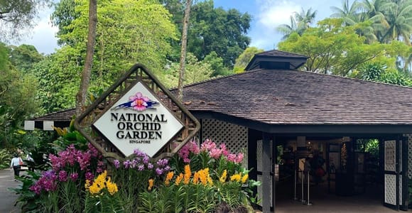 Singapore: One Day Tour with Botanic Gardens & Night Safari