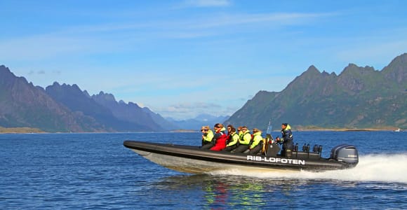 From Svolvær: Lofoten RIB Sea Eagle Safari Trollfjord Cruise