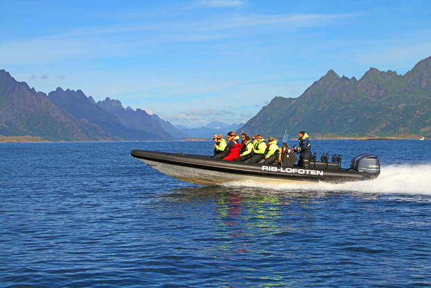 Från Svolvær: Lofoten RIB Sea Eagle Safari Trollfjord Cruise