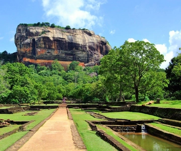 Sigiriya Lion Rock & Minneriya National Park Elephant Safari