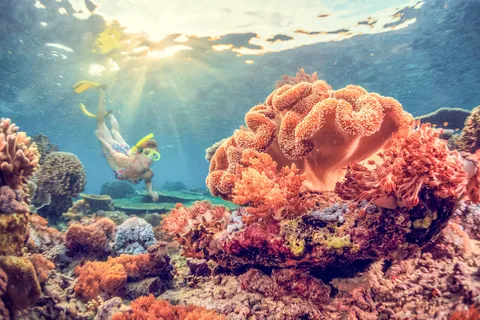 Bali Oriental: Viagem de 1 dia para fazeres snorkeling em Amed