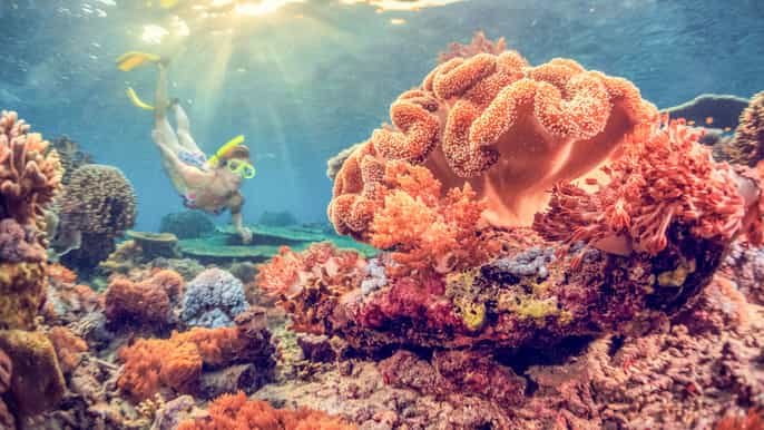east bali snorkeling day trip to amed