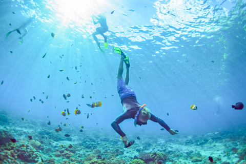 East Bali: gita di un giorno per lo snorkeling ad Amed