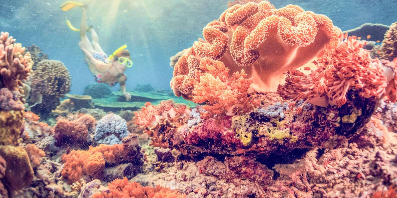 Bali: Full-Day Snorkeling Trip to Nusa Penida & Manta Point