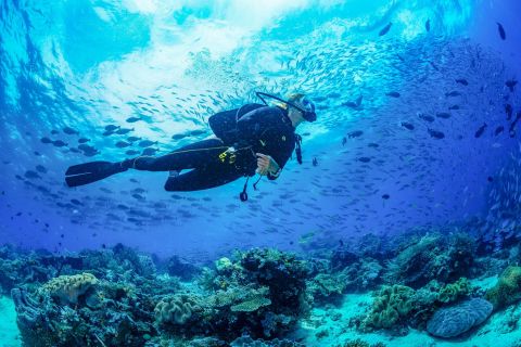 Bali: corso PADI Open Water Diving di 3 giorni