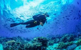 Bali: 3-Day PADI Open Water Diving Course