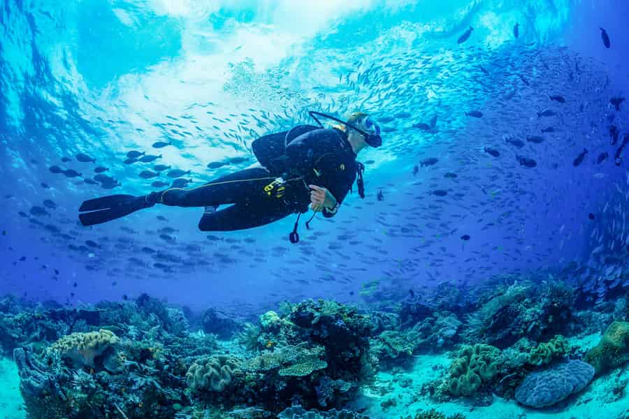 Bali: 3-Tage-PADI-Open-Water-Tauchkurs. Foto: GetYourGuide Bali: 3-Tage-PADI-Open-Water-Tauchkurs. Foto: GetYourGuide