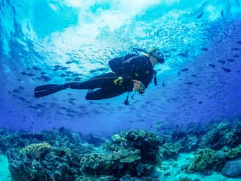 Bali: 3-Tage-PADI-Open-Water-Tauchkurs