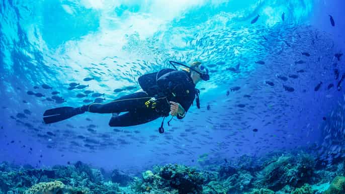 bali 3day padi open water diving course