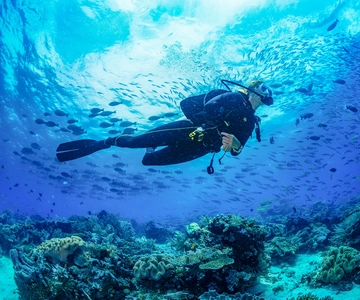 Bali: Curso de mergulho PADI de 3 dias em águas abertas