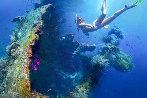 Tulamben : snorkeling autour de l'épave de l'USAT Liberty