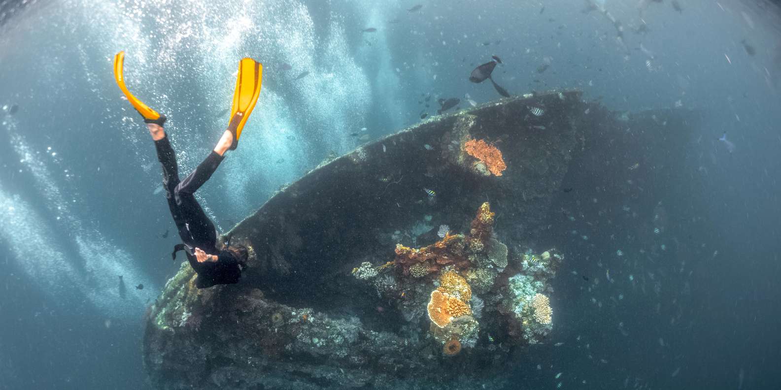 Tulamben: USAT Liberty Shipwreck Full-Day Snorkeling Trip