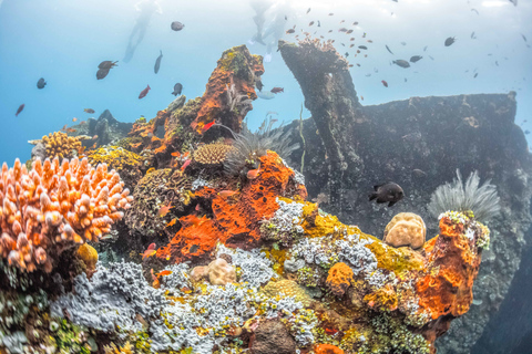 Tulamben: snorkelervaring bij USAT Liberty scheepswrak