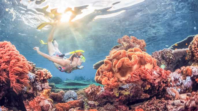 bali padangbai blue lagoon snorkeling day trip