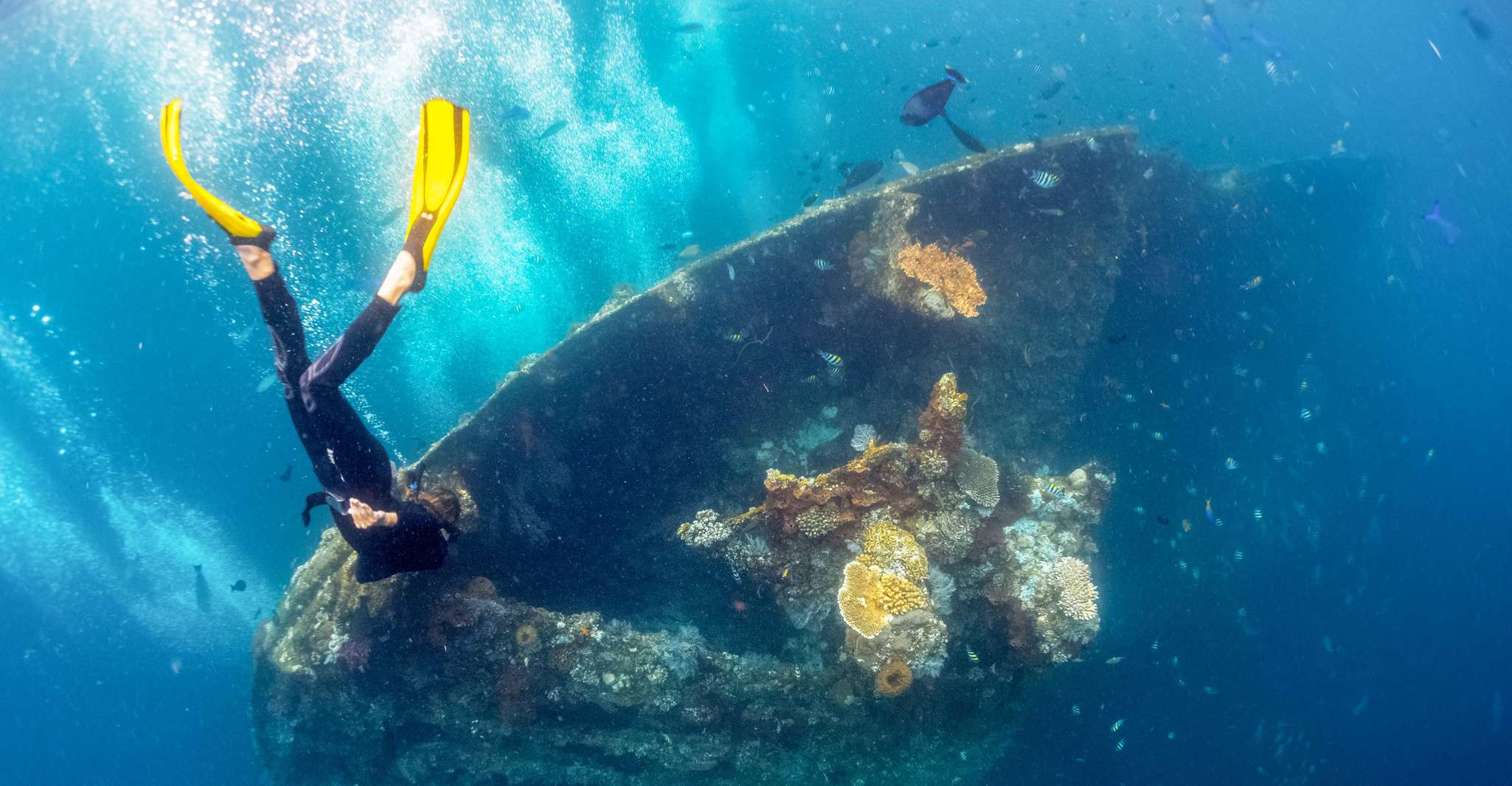 Bali, Tulamben Bay et l'USAT Liberty Wreck Dive - Hizvo