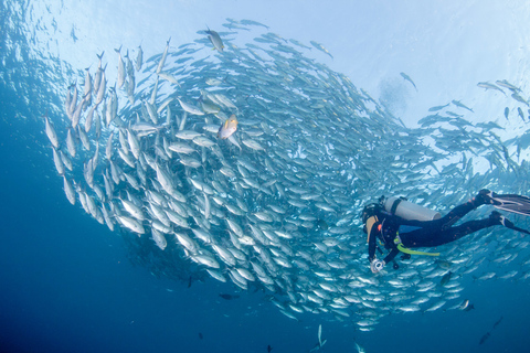 Bali: Tulamben Bay and the USAT Liberty Wreck Dive