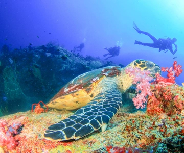 Bali: Padangbai Blue Lagoon Beginner's Dive Experience
