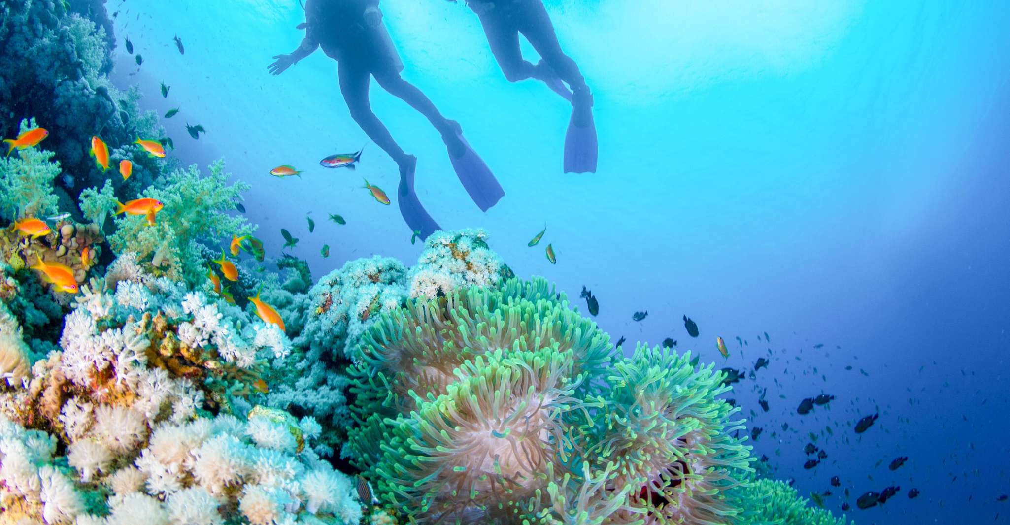 Bali, Padangbai Blue Lagoon Débutant's Dive Experience - Hizvo