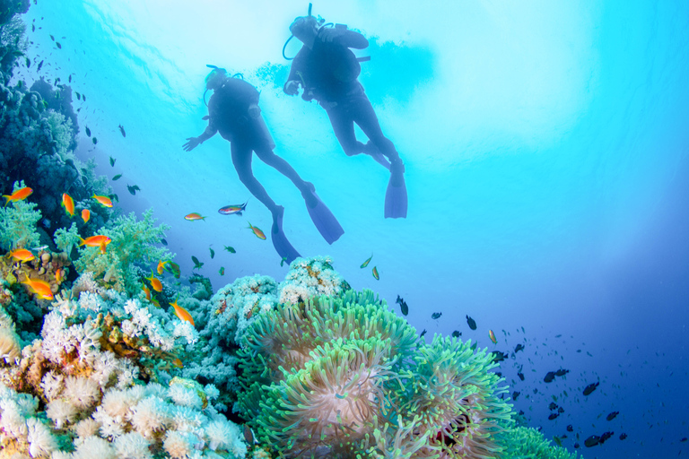 Bali: duiken voor beginners in de Padangbai Blue Lagoon