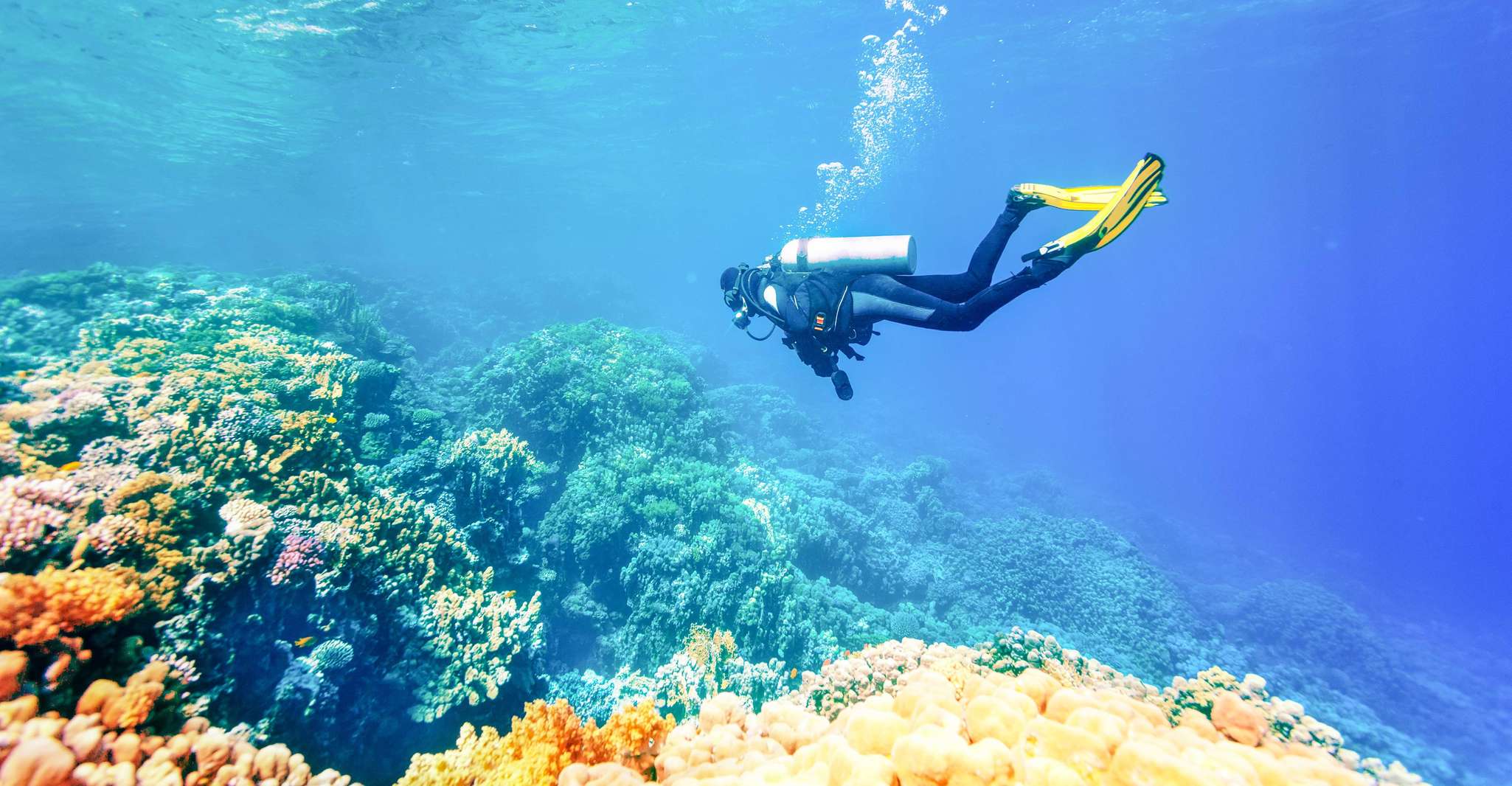 Bali, Padangbai Blue Lagoon Débutant's Dive Experience - Hizvo
