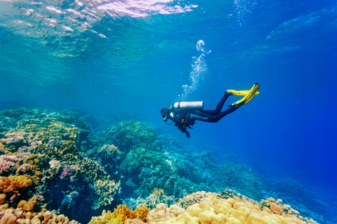 Bali: duiken voor beginners in de baai van TulambenBali: duiken voor beginners bij de baai van Tulamben