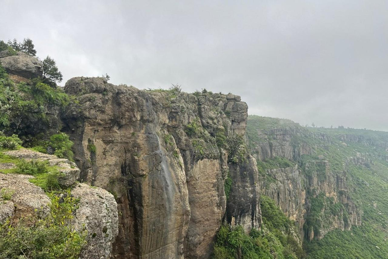 Addis Ababa: Debre Libanos Monastery Experience Tour