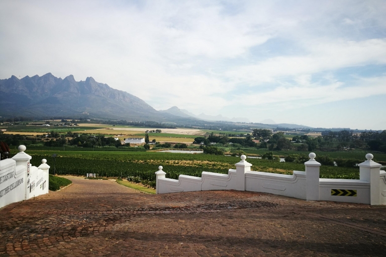 Western Cape: Dégustation de vignobles et visite de cave avec guide