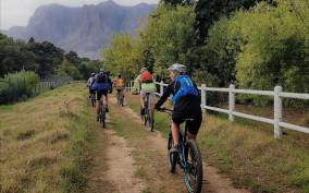 Franschhoek: E-bike Tour with Wine Tasting and Lunch