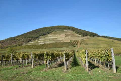 Budapest: Tokaj - The World Heritage Wine Region