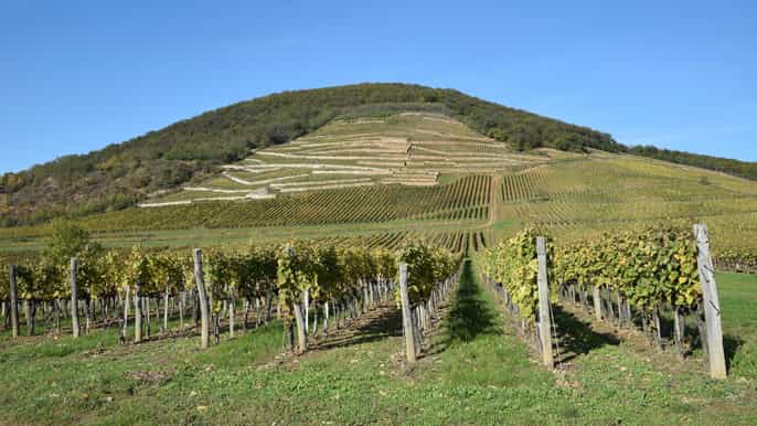budapest tokaj la regione vinicola patrimonio dellumanità