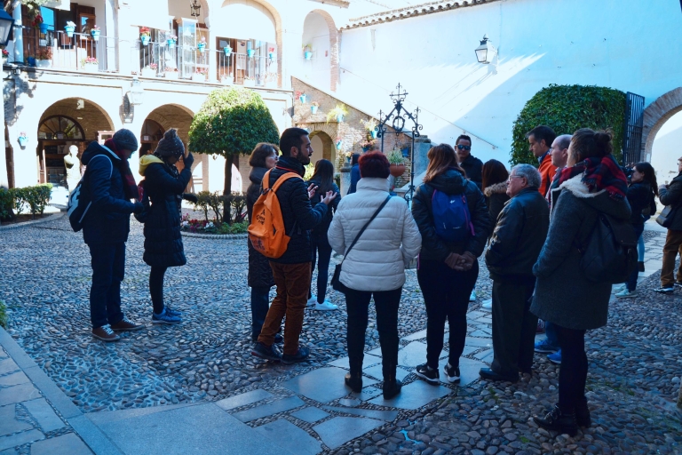 Córdoba: tour a pie por el barrio judíoTour en francés