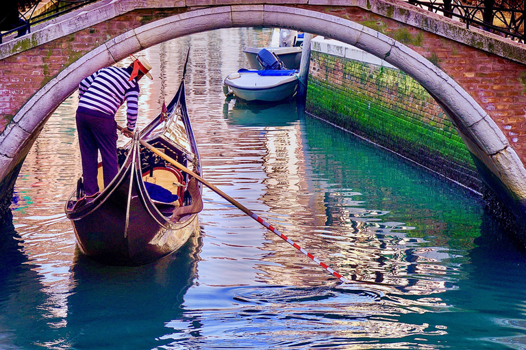 Venice: St Mark's Basilica, Doge's Palace, and Gondola Ride 2026 Tour in French