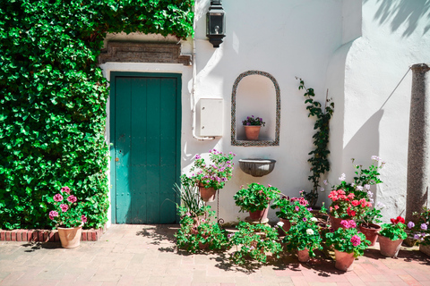 Córdoba: tour por los patios y el palacio de Viana