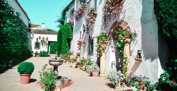 Cordoba: Patios and Viana Palace Tour