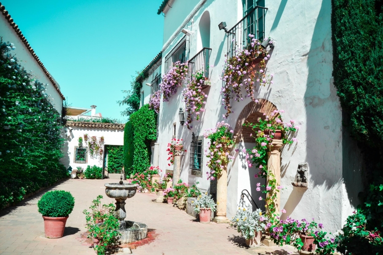 Cordoba: rondleiding patio's en het Viana-paleis