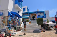 De Sousse, voyage d'une journée à Carthage, Tunis et Sidi Bou - Hizvo