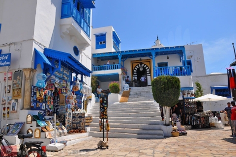 De Sousse: excursion d'une journée à Carthage, Tunis et Sidi Bou
