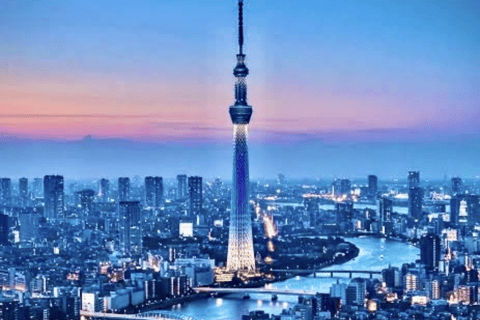 Tokyo: Private City Tour with Tokyo TeamLab Planets.