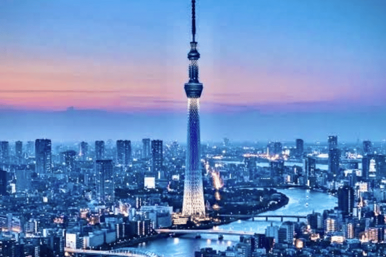 Tokyo: Private City Tour with Tokyo TeamLab Planets.