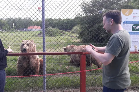 Budapeste: Transporte e visita guiada ao Santuário de Ursos e Lobos