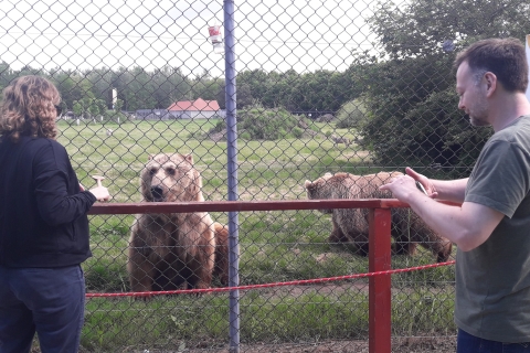 Budapest: Transport und geführte Tour durch das Bären- und Wolfsschutzgebiet